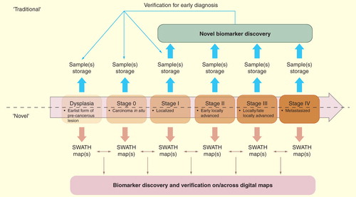 Figure 5. Comparison of the conventional and the new biomarker pipeline assisted by SWATH maps for human cancer. The upper panel indicates the usage of biomarkers in the longitudinal process such as cancer staging (dysplasia to stage IV). Note that, as illustrated in lower panel, once the SWATH map is acquired, it is a permanent record that allows for iterative in silico interrogation for diagnostic profiles.