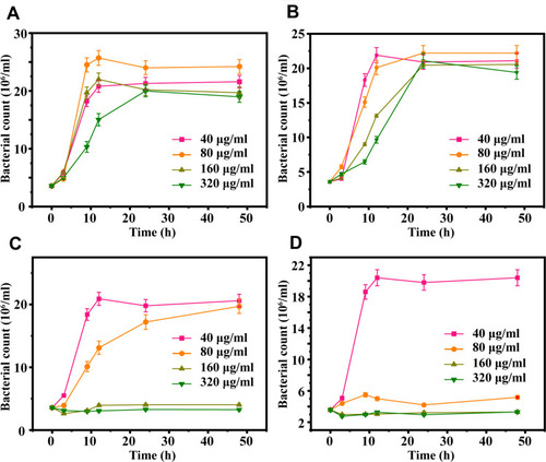 Figure 5 Antibacterial curve of different nano-silver loading AHRG scaffolds, (A) 1% AHRG, (B) 2% AHRG, (C) 4% AHRG, (D) 8% AHRG.