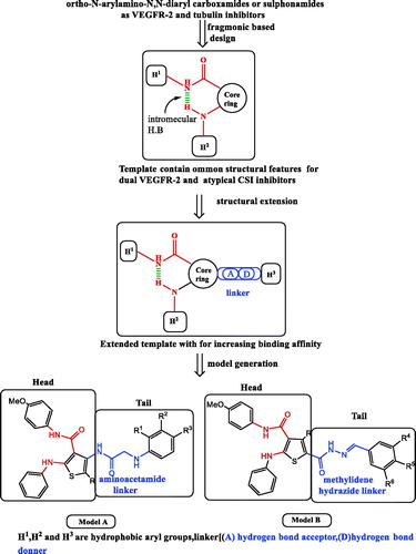 Figure 3. Diagrammatic sketch for molecular design strategy for elucidation of dual pharmacophoric template and structural extension of the template with the generation of the two models; Model A, substituted phenyl acetamides 4–13 and Model B substituted arylidene hydrazides 16–23. ortho-amino-aryl caboxamide pharmacophore showed in red color,isosteric groups(2-amino-acetamide and methylidene hydrazide) to urea pharmacophore as linker showed in blue color.