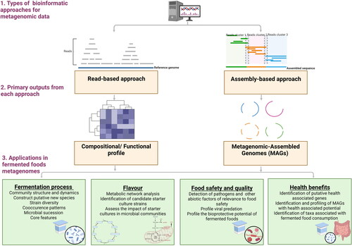 Figure 3. Conceptual overview of the primary steps, outputs and applications associated with the application of read-based and assembly-based approaches to fermented food metagenomic data. Figure was produced using BioRender (BioRender, 2021) https://biorender.com/