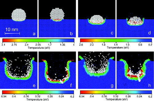 FIG. 7. Molecular dynamics simulations of the impact of EAN and EMI-Im nanodroplets on silicon. The projectiles are 10 nm in diameter and have an identical kinetic energy of 249 keV (11.0 km/s impact velocity for EAN and 10 km/s for EMI-Im). The snapshots are taken at 0.4, 1, 5, and 8 d/v time units. Panels a, c, e, and f correspond to EAN, while the impact of the EMI-Im drop is captured in panels b, d, f, and h.