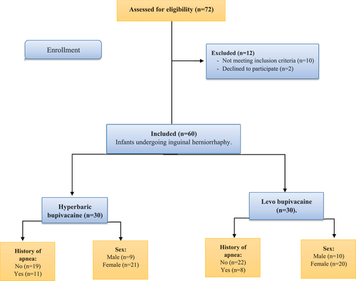 Figure 1. Flowchart of infants undergoing inguinal herniorrhaphy.