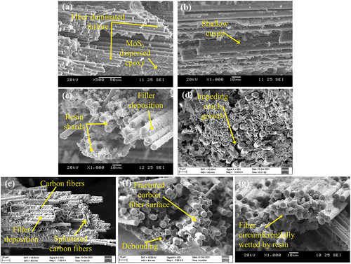 Figure 11. Scanning electron micrographs of tensile tested (a-d) 4MoS2-CFEC and (e-g) 6MoS2-CFEC.
