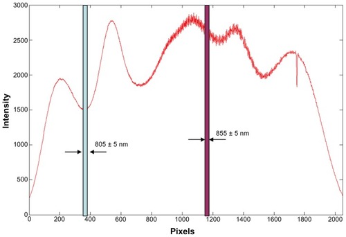 Figure 2 Spectrum of the light source of the slit-lamp adapted ultrahigh-resolution optical coherence tomography.