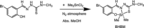 Scheme 1. Synthesis of dimethyltin(IV)-5-bromo-2-hydroxybenzaldehyde-N(4)-methylthiosemicarbazide complex.