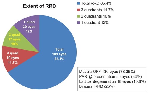 Figure 7 Presenting retinal features of the affected eye of children with rhegmatogenous retinal detachment.