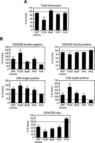 FIG. 7 Effects of DEP extracts or their constituents on thymocyte cellularity. Fetal thymus was exposed to DEP extracts or the described chemicals for 4 days and thymocyte cell numbers (A) and subset populations (B) were examined. The data are expressed as the mean percent of control ± SEM (n = 3), compared to control. Asterisk indicates statistically significant difference (p < 0.05) from the corresponding control.