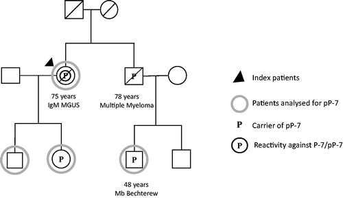 Figure 1. Pedigree of patient 1 with IgM MGUS with a P-7 specific IgM paraprotein carrying the pP-7.