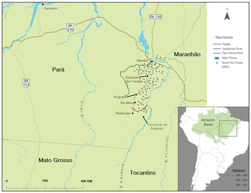 Figure 1 Brazil nut forest in the lower Amazon Basin.