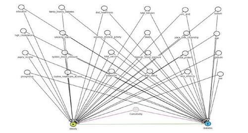 Figure 1 Hypothesized Directed acyclic graph drawn based on analyst’s best understanding of the literature