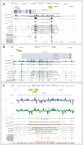 Figure 3. Location of the most likely selection targets in human populations. Candidate targets are shown for ADAR (A), ADARB1 (B), ADARB2 (C) within the UCSC Genome Browser view. Relevant annotation tracks are shown. For ADARB2 a sliding-window analysis of DH is also shown in green (YRI) and blue (CEU). The horizontal dashed line represents the 5th percentile of DH. Variants in blue, red and green represent selection targets in CEU, CHBJPT, and YRI, respectively. Additional color codes are as follows: yellow highlight indicates SNPs mapping to regulatory elements; cyan indicates eQTL.