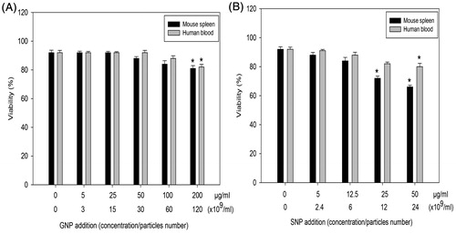 Figure 2. Effects of NP on mouse splenic lymphocyte and human PBL viability. (A) GNP. (B) SNP. Data shown are means (±SEM) of three experiments. *p < .05, NP treated versus control.