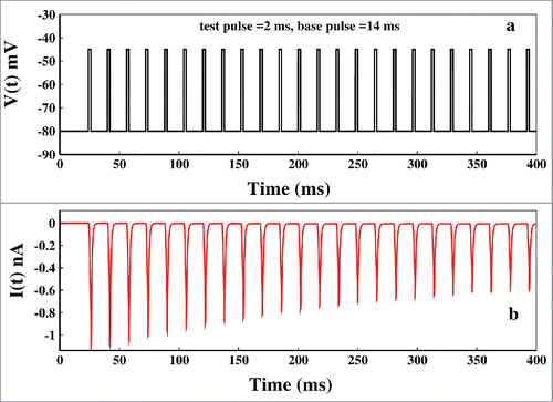 Figure 6. Pulse train protocol. In (A) at first the voltage is kept at −45 mV and after few milliseconds it is brought back to base −80 mV after that the pulse train begins. Here the base pulse duration is 14 ms and test pulse duration is 2 ms. In (B) the corresponding ionic current is plotted.