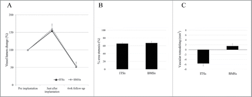 FIGURE 3. Graph A shows percent vessel lumen change with Igaki-Tamai stents (ITSs) and bare metal stents (BMSs). Graph B shows percent area stenosis with ITSs and BMSs at 6-week follow-up. Graph C shows vascular remodeling with ITSs and BMSs at 6-week follow-up.