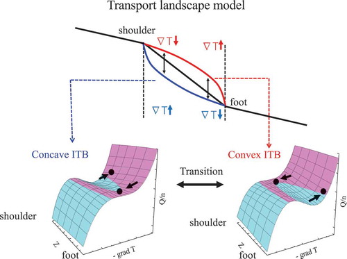 Figure 16. Radial profiles of temperature in the plasma with concave and convex ITB and transport landscape model for concave ITB and convex ITB.