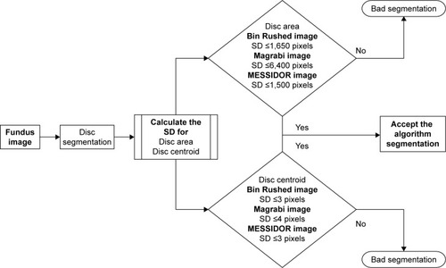 Figure 4 Flowchart for the analysis of disc segmentation.