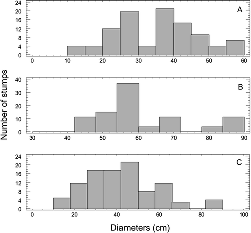 Fig. 10 Histograms of diameter class. A, Conifer stumps. B, Corystosperm stumps. C, All stumps of the forest.
