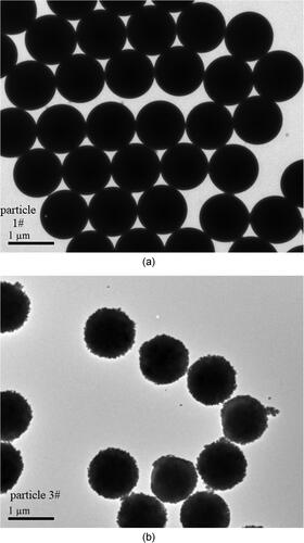 Figure 1. (a) TEM of smooth particles. (b) TEM of rough particles.