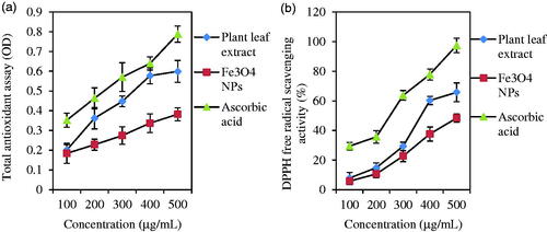 Figure 7. TAC (a) and DPPH free radical scavenging activity (b) of leaf extract and Fe3O4 NPs. Ascorbic acid solution was applied as standard.