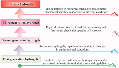 Figure 2. Developmental stages and evolution of hydrogels.