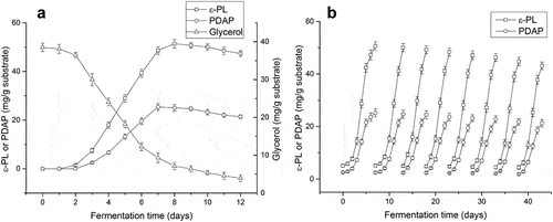 Figure 4. Time course of co-production of poly(L-diaminopropionic acid) (PDAP) and poly(ε-L-lysine) (ε-PL) under optimal fermentation conditions. (a) Amplified fermentation in 5 L flask; (b) Repeated-batch fermentation. Data points represent means (n = 3) ± standard deviation (SD).
