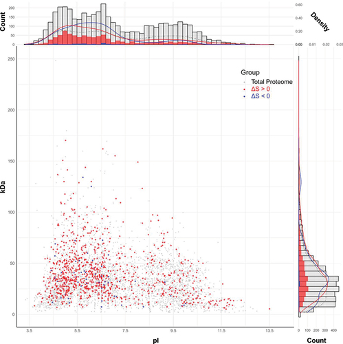 Figure 3. Proteome-wide characterization of RNA-dependent proteins in E. coli. The scatter plot displays 913 proteins with ΔS > 0 (red), 53 proteins with ΔS < 0 (blue), and the whole E. coli proteome of 4302 (grey) in terms of pI and molecular weight. Note that the red and blue spots are superimposed on the grey spots. Histograms show the absolute count of proteins across different pI values (bin size: 0.2) and molecular weight (bin size: 5 kDa) ranges. Alongside each histogram, density graphs represent the relative frequency distribution of proteins within each bin. These graphs are adjusted so that the total area under each curve sums to 1, allowing for comparison of distribution patterns across groups, irrespective of the total protein number of each group.