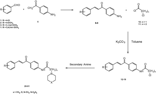 Scheme 1. Synthesis of the target compounds 20–51.