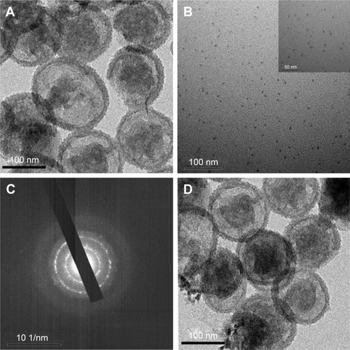 Figure 2 Characterization of the nanoparticles.Notes: TEM images of the as-made YSPMOs-SH (A) and CuS-Lys NPs (B). (C) SAED pattern of CuS NPs. (D) TEM images of YSPMOs(DOX)@CuS NPs.Abbreviations: DOX, doxorubicin; Lys, L-cysteine; SAED, selected area electron diffraction; TEM, transmission electron microscopy; YSPMOs, yolk–shell-structured periodic mesoporous organosilica nanoparticles.