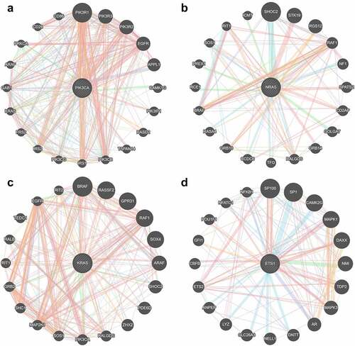 Figure 8. Hub genes related to circ_0007618 (a, b) and circ_0029426 (c, d).