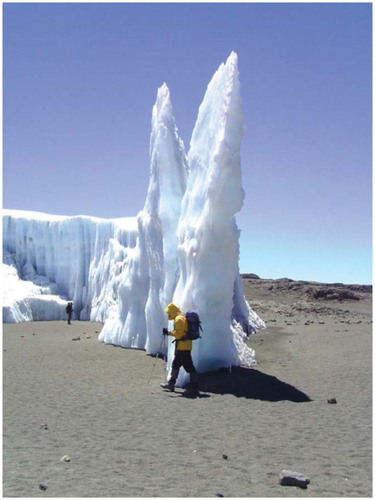 FIGURE 8. Photograph of final stages of ice field decline taken at Furtwangler glacier. The picture is looking east along one of the fin-like structures. The exposed surfaces face north (left) and south (right) with limited horizontal exposure and thus accumulation is now irrelevant as a mass balance component. Person gives vertical scale. Picture is taken in austral winter so sun has a northerly component (shadow on right).