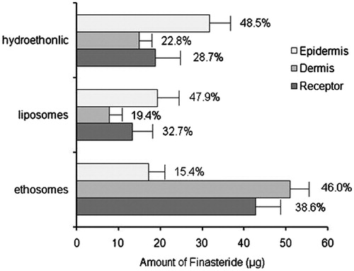 Figure 4. Distribution of finasteride after 12 h Franz’s diffusion experiments (n = 3).