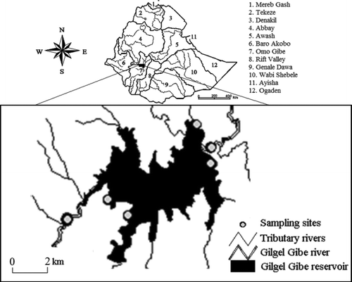 Figure 1 Location of sampling points in the Gilgel Gibe reservoir in Ethiopia.