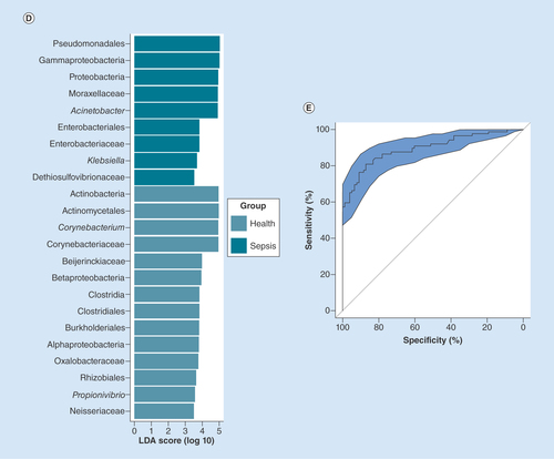 Figure 1. Comparison of nasal microbiota between septic patients and healthy subjects. (A) α diversity between the septic patients and healthy subjects. (B) Stacked bar chart of bacteria at the genus level between the septic patients and healthy controls.(C)Principal coordinate analysis based on unweighted UniFrac distances. The red dots represent patients with sepsis, and the blue dots represent the controls. (D) significantly different taxa between the healthy participants and septic patients were determined using the linear discriminant analysis effect size (LEfSe). The data show increasing levels of Gammaproteobacteria, Pseudomonadales, Proteobacteria, Pseudomonas, Moraxellaceae, Acinetobacter, Enterobacteriaceae and Klebsiella in the patients. (E) Machine-learning classification based on nasal microbiota using random forest algorithms.LDA: Linear discriminant analysis.