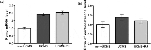 Figure 3. Effect of Royal jelly (RJ) on the HPA axis response to unpredictable chronic mild stress (UCMS) exposure.(a) Expression level of Pomc mRNA in the pituitary gland were expressed relative to the mean value of the non-UCMS group. Data represent the means ± standard error of the mean (SEM) (non-UCMS: n = 10, UCMS: n = 9, UCMS + RJ: n = 10). As a reference, p < 0.01 UCMS vs. non-UCMS by Student’s t-test.(b) Serum corticosterone level were expressed relative to the mean value of the non-UCMS group. Data represent the means ± SEM (non-UCMS: n = 20, UCMS: n = 20, UCMS + RJ: n = 20). P = 0.370 UCMS vs. UCMS+RJ by Student’s t-test, and as a reference, p = 0.077 UCMS vs. non-UCMS by Student’s t-test.