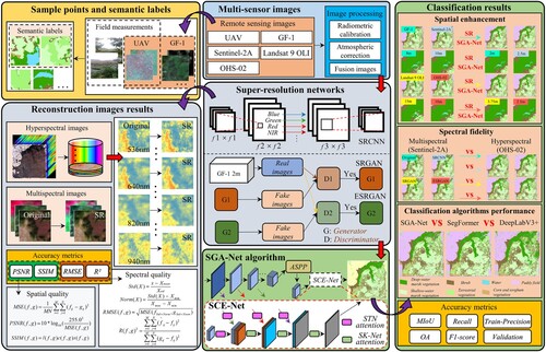 Figure 2. Flowchart of classifying marsh vegetation using super-resolution reconstruction combined with SGA-Net algorithm.