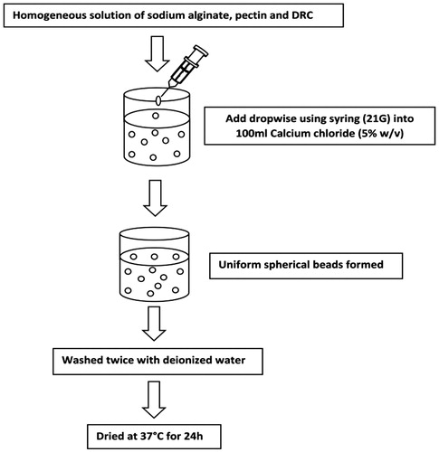 Figure 2. Schematic diagram of preparation of bead by an ionotropic gelation method.