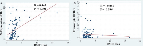 Figure 3. (A) Correlation of the BAX percentage expression with the RMFI. (B) Correlation of the BAX transcripts expression with the protein expression.