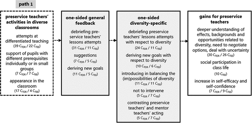 Figure 3. One-sided approach to feedback in diverse classrooms.