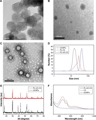 Figure 2 (A) TEM image of UCNPs in ethanol. (B) TEM image of PL-C3 in deionized water. (C) TEM image of PL-UC-C3 in deionized water. (D) DLS analysis of UCNPs, PL-C3, and PL-UC-C3. (E) Powder XRD diffraction patterns of UCNPs and PL-UC-C3. (F) UV-vis spectra of UCNPs, C3, and PL-UC-C3 (1 mg/mL all). (G) Up-conversion emission spectra of UCNPs and UV-vis spectrum of C3. (H) Up-conversion emission spectra of UCNPs and PL-UC-C3.Note: C3, organic compound; PL-UC-C3, encapsulation of UCNPs and C3 into PEG-PCL; PL-C3, encapsulation of C3 into PEG-PCL.Abbreviations: UCNPs, up-conversion nanoparticles; TEM, transmission electron microscopy; DLS, dynamic light scattering; XRD, X-ray diffraction; UV-vis, ultraviolet-visible; PEG, polyethylene-polyglycol; PCL, poly-e-caprolactone.