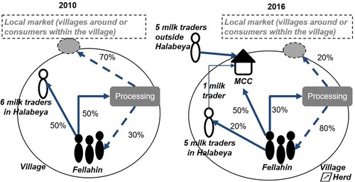 Figure 7. Representation of the Halabeya milk market evolution developed during a focus group discussion with a panel of nine inhabitants from Halabeya in Beni Suef in 2016.
