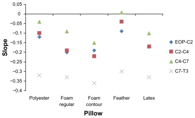 Figure 1 Mean slope at zero minutes, for each spinal segment.