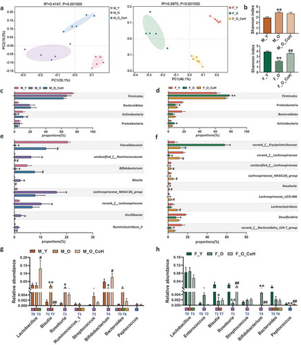 Figure 5. Co-housing improves gut microbiota disbalance induced by aging in both sexes.