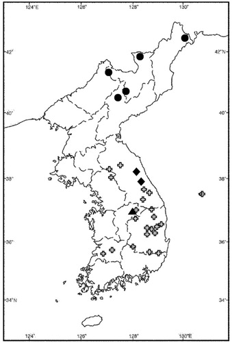 Figure 1. Distribution map of the records of Sorex mirabilis in the Korean Peninsula. Circles denote records in North Korea (MAB National Committee of DPRK Citation2002); diamonds denote the first records in South Korea (Han et al. Citation2000); triangle denotes the new southern-most record (authors’ data); crosses denote eoreumgols (ice valleys) (Kim Citation2005).
