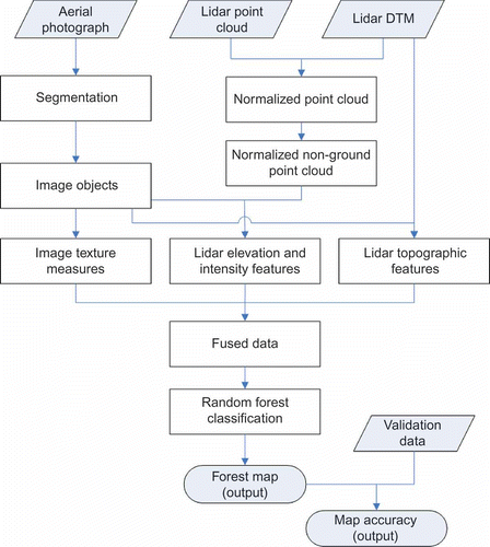 Figure 2. Flowchart for forest mapping using lidar and digital aerial photograph.