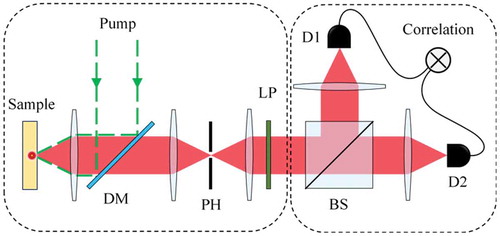 Figure 1. Schematic illustration of experimental apparatus for exploring the correlation between photons. The system consists of the confocal system (left) and the HBT interferometer (right). Pump: excitation beam; DM: dichroic mirror; PH: pinhole; LP: long past filter; BS: beam splitter; D1, D2: detectors