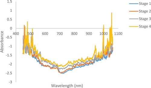 Figure 3. NIR raw absorbance spectra of pomegranate fruit at different maturity stages. Stage 1: 88 DAFB; Stage 2: 109 DAFB; Stage 3: 124 DAFB; and Stage 4: 143 DAFB.
