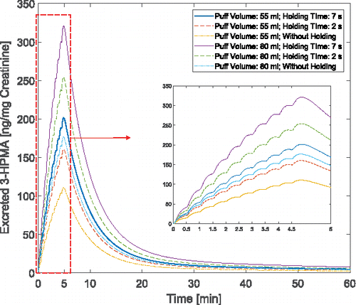 Figure 12. Time courses of the ratio between excreted 3-HPMA and creatinine in the kidney with different puff topographies.