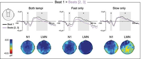 Figure 2. Ternary meter ERPs, strong vs. weak beats. Top: Grand average ERPs elicited by metrically strong beat one and metrically weak beats two and three. ERP waveforms are shown averaged over medial anterior and central electrode sites. ERPs to beats two and three were calculated separately and then averaged across beat such that they are weighted equally in the waveforms, as they are in statistical analyses. The N1 (80–115 ms) and LMN (250–450 ms) time windows are highlighted, and beat position main effect significance is indicated for each time window (* = p < 0.05, ns = p ≥ 0.05, – = test not motivated by higher-order tempo interaction). Bottom: Topographical contrast maps show the scalp distributions of beat one vs. beats two and three mean amplitude differences within the N1 and LMN time windows. All contrast maps are plotted using the same color axis range