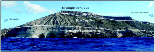 Figure 4. The southern part of Il-Pelegrin promontory where landscape is controlled by different rates of erosion, related to intrinsic geomechanical qualities of rock materials.