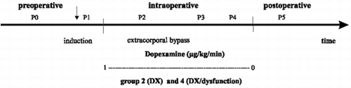 Figure 1. Measurement protocol.